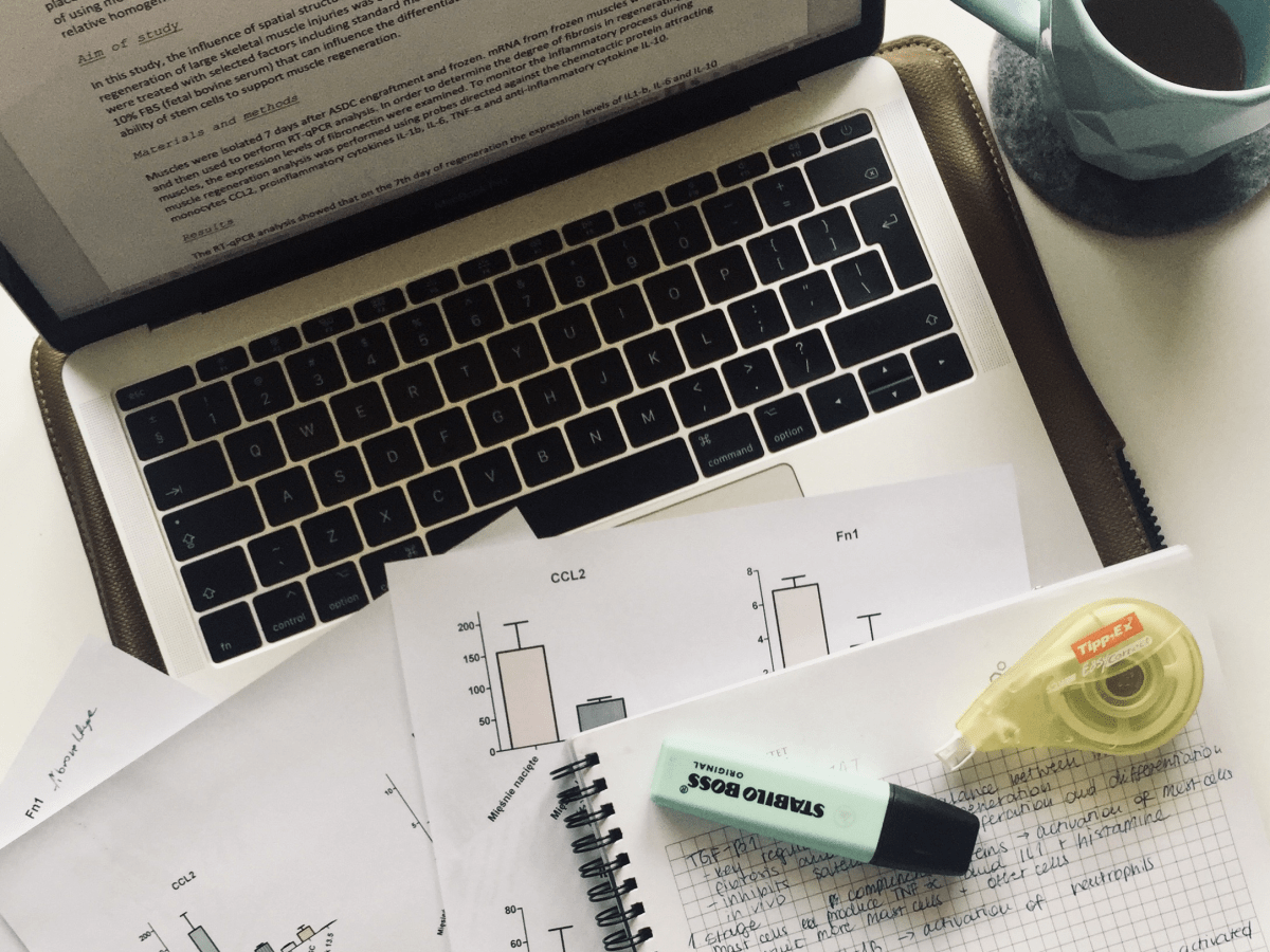 Completing your PhD&nbsp;application